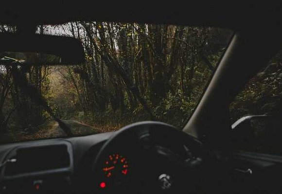 widok z miejsca kierowcy na drogę w lesie
