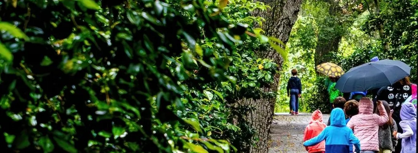 Grupa osób spacerujących ścieżką w parku w deszczowy dzień, niektórzy trzymają parasole, obok drzew i zielonych krzewów, co podkreśla naturalne otoczenie.