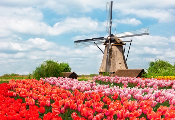 Dutch wind mills Dutch wind mills