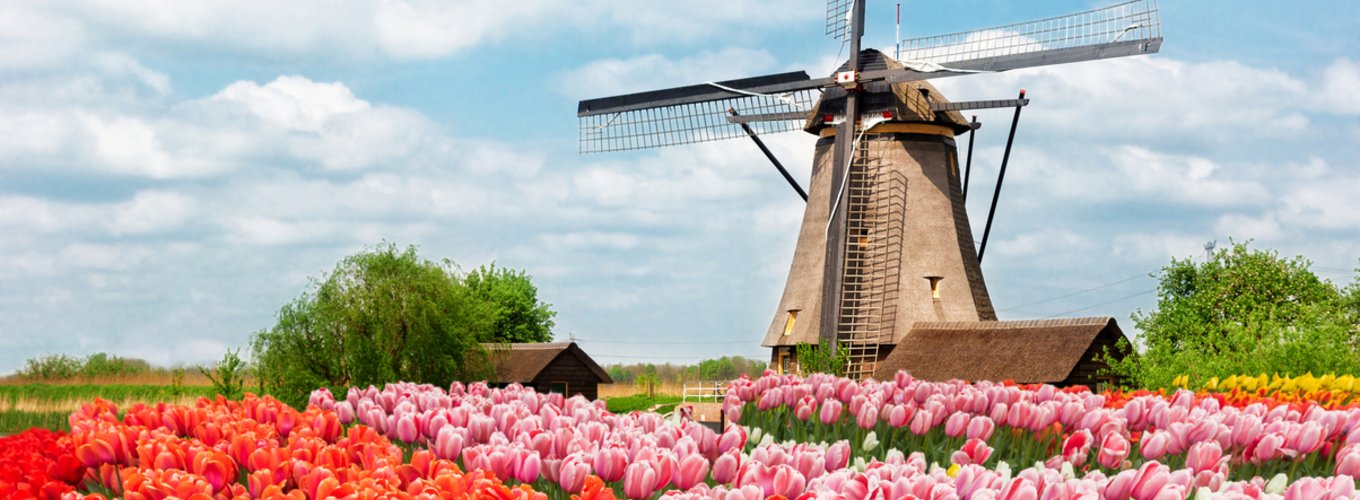 Dutch wind mills