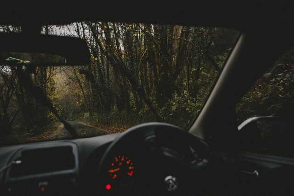 widok z miejsca kierowcy na drogę w lesie