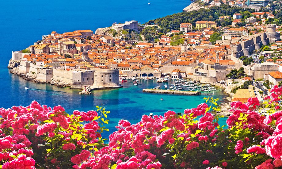 Historic town of Dubrovnik panoramic rose flower view Historic town of Dubrovnik panoramic rose flower view