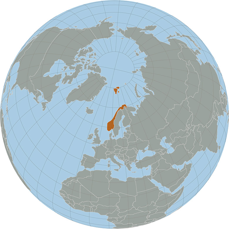 Globus z zaznaczoną Norwegią, mapa świata z wyróżnionym państwem