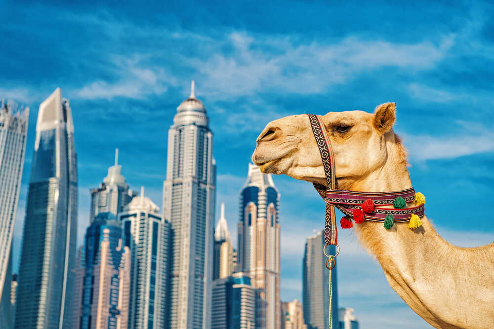 Wiza do Dubaju