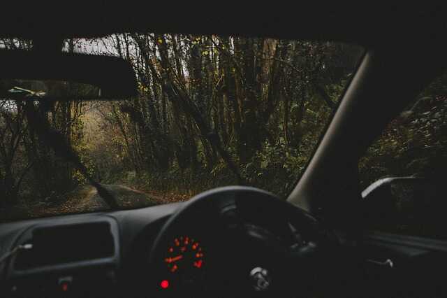 widok z miejsca kierowcy na drogę w lesie